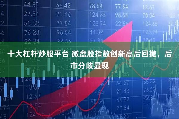 十大杠杆炒股平台 微盘股指数创新高后回撤，后市分歧显现