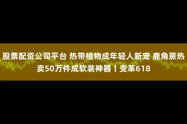 股票配资公司平台 热带植物成年轻人新宠 鹿角蕨热卖50万件成软装神器丨变革618
