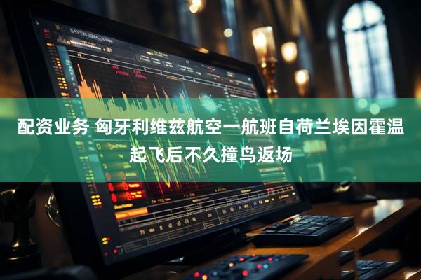 配资业务 匈牙利维兹航空一航班自荷兰埃因霍温起飞后不久撞鸟返场