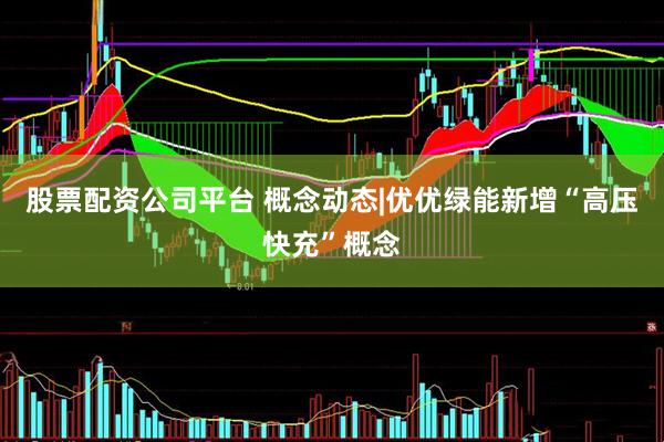 股票配资公司平台 概念动态|优优绿能新增“高压快充”概念