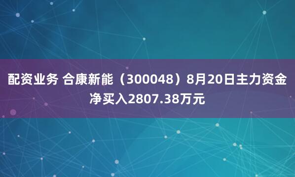 配资业务 合康新能（300048）8月20日主力资金净买入2807.38万元