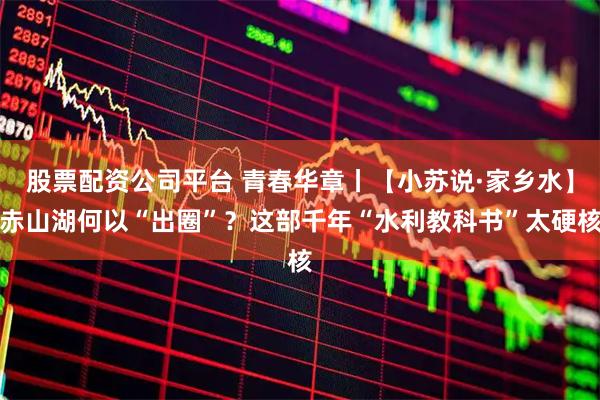 股票配资公司平台 青春华章丨【小苏说·家乡水】赤山湖何以“出圈”？这部千年“水利教科书”太硬核